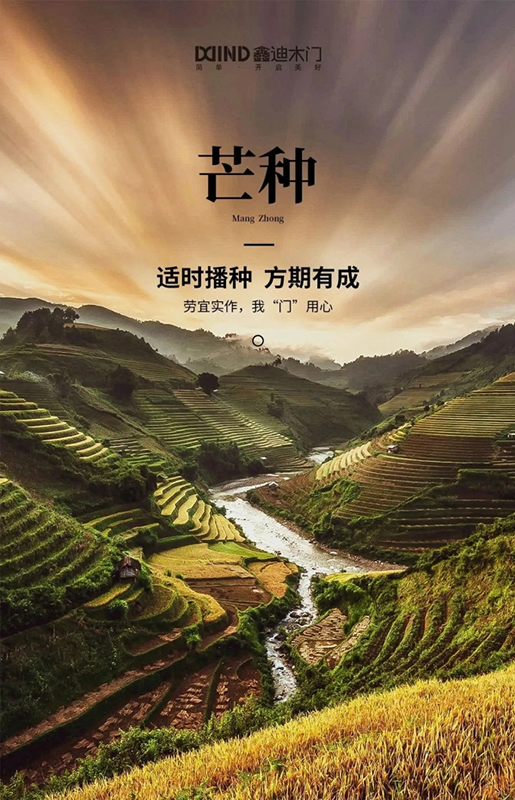鑫迪木門：為愛奔芒，辛勞耕種！