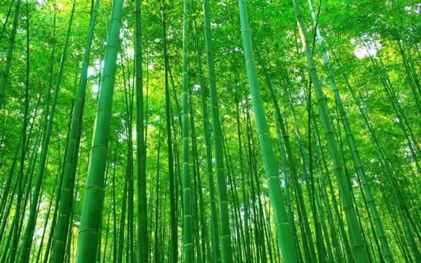 盈康世家木門(mén)意式輕奢樣板間欣賞