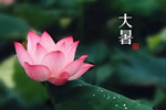 大暑已至，一一木門(mén)特制宅家指南送到！