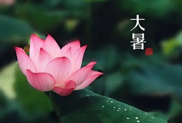 大暑已至，一一木門特制宅家指南送到！