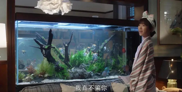尚品本色：深挖鐘曉芹的家，隱形的“富豪”級(jí)房產(chǎn)！
