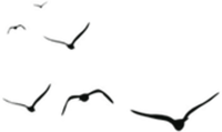 一一木門曲美銀梨臥室?guī)氵M(jìn)入溫柔夢(mèng)鄉(xiāng)