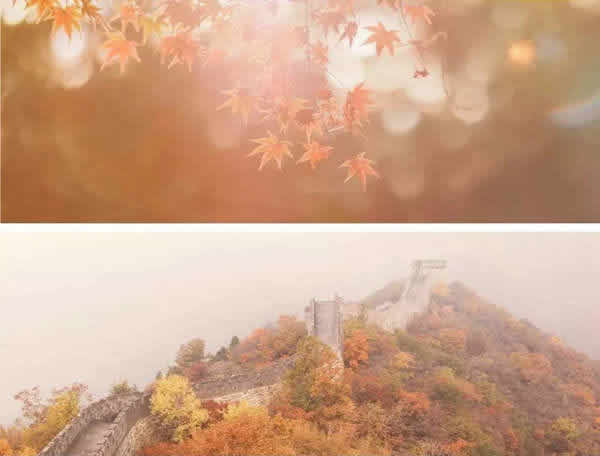 吾尋純木門：這個秋天，我“門”與你不期而遇！