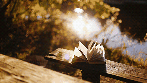 A8空間極簡(jiǎn)定制：一茶、一書，一“室”界，至簡(jiǎn)至美