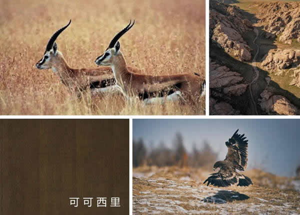 朗墅國(guó)際定制：可可西里的秋色，靜美如詩(shī)