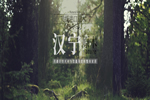 漢寧原木定制怎么樣？漢寧原木定制加盟優(yōu)勢