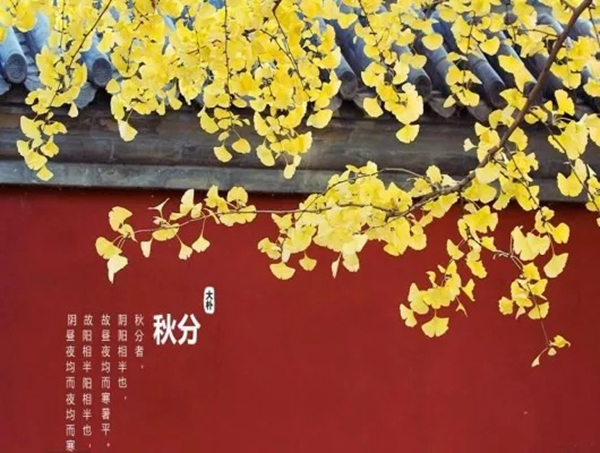 林源木門(mén)：轉(zhuǎn)眼間，秋分已至