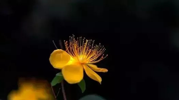 林源木門(mén)：轉(zhuǎn)眼間，秋分已至