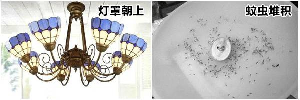 山杉木業(yè)：裝修時需注意的細節(jié)，從玄關(guān)到臥室都齊了！