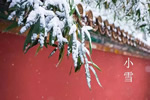 A8空間極簡(jiǎn)定制:小雪，讓家因愛(ài)而溫暖