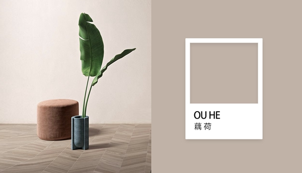 尚家木門(mén)：打造經(jīng)典純色美學(xué)