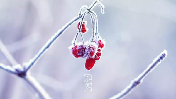  樂(lè)之福木門(mén)讓你“家”倍溫暖