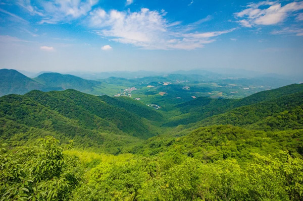 盈康世家木門，質(zhì)感與高雅結(jié)合，淺酌歲月靜美