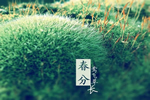 伊佳特木門，四季有春，春有朝晨