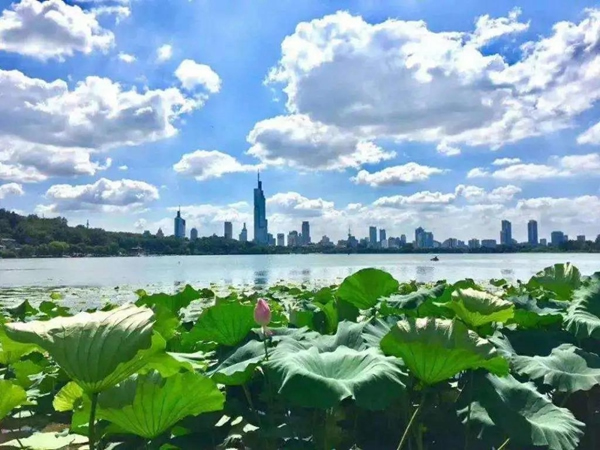 精藝木門免漆類產(chǎn)品，比重明顯提升