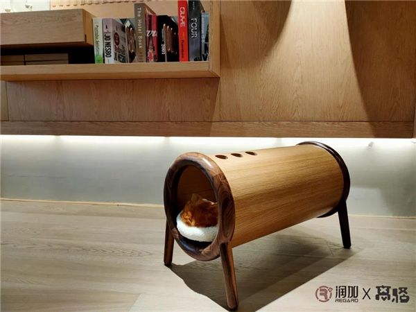 潤成創(chuàng)展：這只貓，竟然……賴在凳子上不走了！