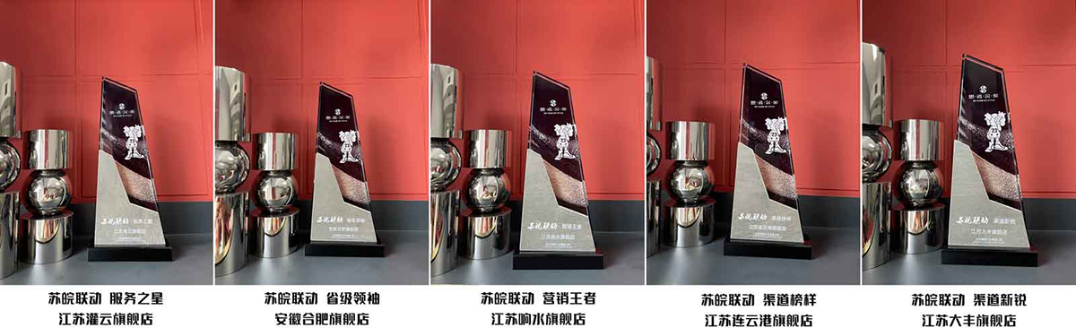 思諾爾家“蘇皖聯(lián)動(dòng)，總裁價(jià)到”業(yè)績爭霸圓滿成功
