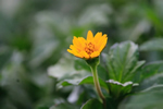 索將門業(yè)，點(diǎn)亮您的生活