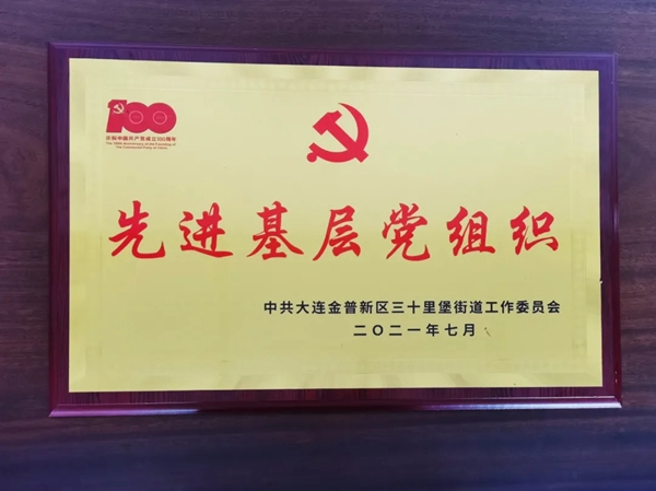 品橋T型木門|目光所至皆為華夏，五星閃耀皆為信仰