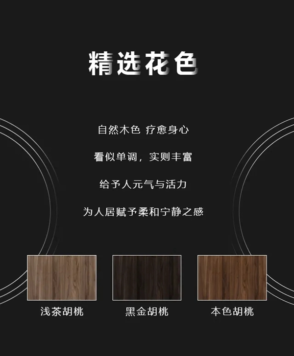 金牌木門新品駕到： 維也納3 溫潤清影