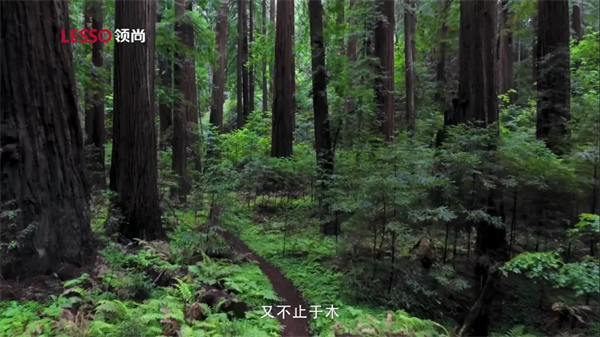 領(lǐng)尚木門 | 回歸本真，以居為安，質(zhì)享寧靜