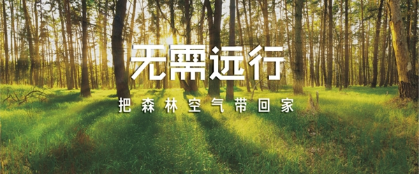 艾森格林木門告訴你：什么是負離子凈醛木門？