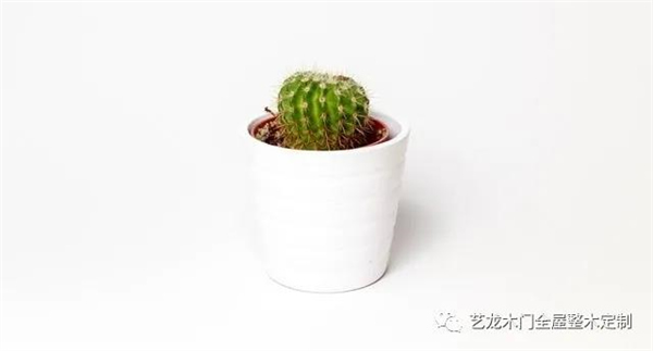 藝龍木門全屋整木定制│ 定制陽臺(tái)空間