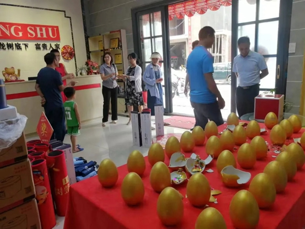 龍樹整屋門窗門業(yè)：爆發(fā)，源于19年的深耕!