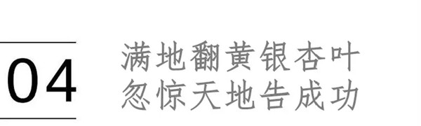喬金斯整木定制：愛秋天，更愛家的秋意濃
