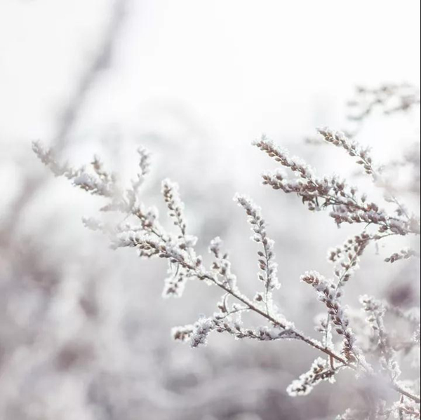 林源智慧家居 | 小雪將至，為您守護(hù)舒適溫暖家！
