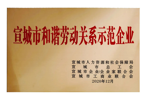 順心家居榮獲“宣城市和諧勞動關系示范企業(yè)”榮譽