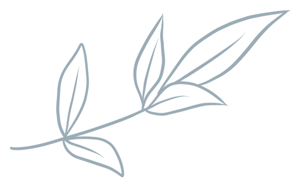 金彩云木門 | 簡與奢的碰撞，綻放屬于家的美好姿態(tài)