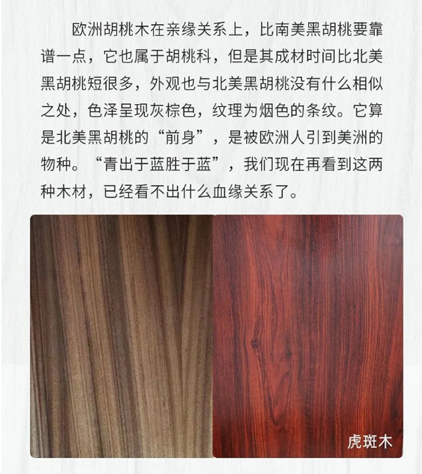 【一木定制】關(guān)于黑胡桃，你知道多少