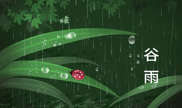吾尋純木門丨谷雨：雨生百谷，萬物生長(zhǎng)！