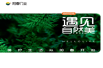 ?陽春健康無醛木門-2023產(chǎn)品圖冊