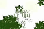 圖森木業(yè) | “森”臨其境 | 圖森可持續(xù)發(fā)展設計實踐展覽