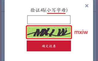 2017“中國木門十大品牌”網(wǎng)絡(luò)評選驗證碼答疑