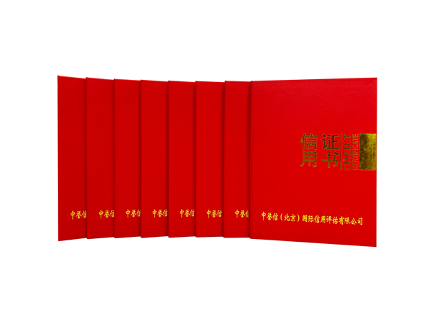 喜報！科派榮獲中譽信國際信用評估AAA級認證！