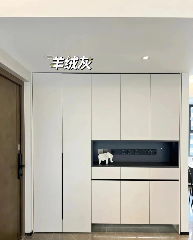 衣柜柜門顏色