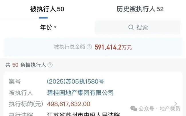 碧桂園地產(chǎn)