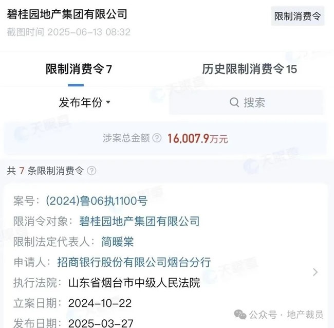 碧桂園地產(chǎn)