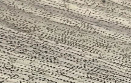 國人木門