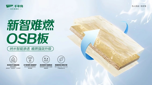 千年舟