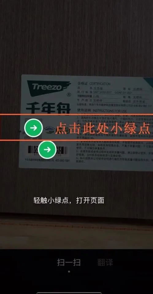 千年舟