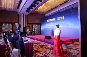 2017年全國市場、工程木門企業(yè)產(chǎn)品質量、售后服務雙承諾活動
