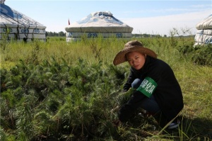 百德帶領大家伙植樹